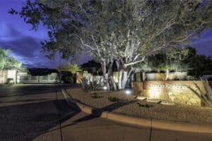 A serene backyard at night with trees and soft lighting.